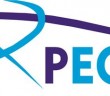 logo PECS - web - grande