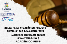 EDITAL Nº 002-TJMA-UEMA/2025 – Mestrandos