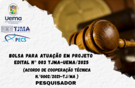 EDITAL Nº 003-TJMA-UEMA/2025 – Pesquisador