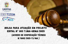 Resultado Parcial – EDITAL N.º 04/2025-TJMA-UEMA – APOIO TÉCNICO – MESTRE/DOUTORANDO